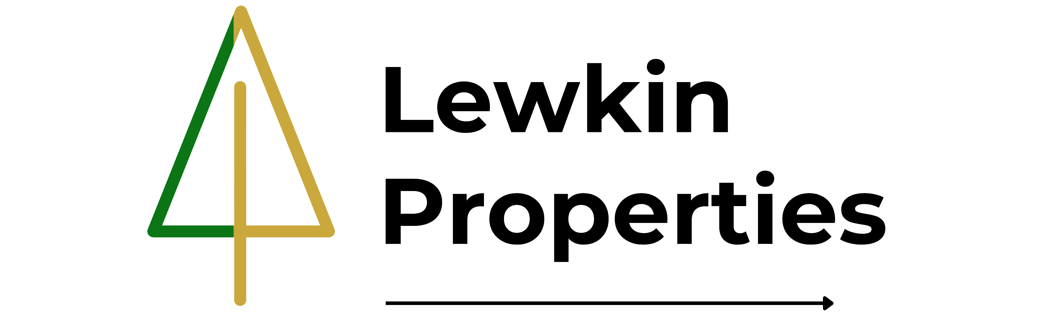 Lewkin Properties